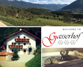 Гостиница Gasserhof Aicha  Нац-Шавэс